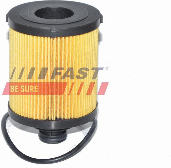 Fast FT38068 - Filtro olio www.autoricambi360.it