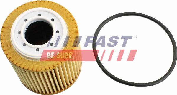 Fast FT38100 - Filtro olio www.autoricambi360.it