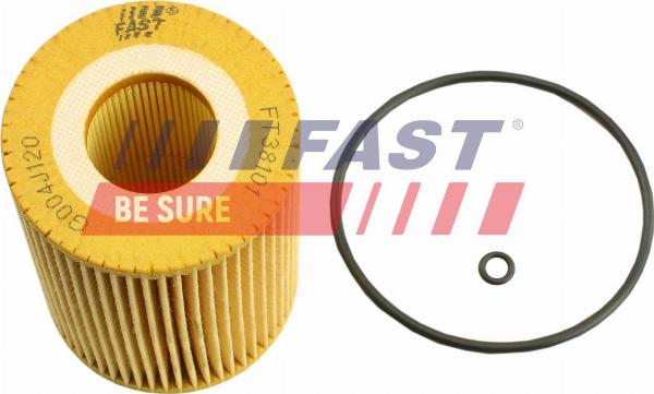 Fast FT38101 - Filtro olio www.autoricambi360.it