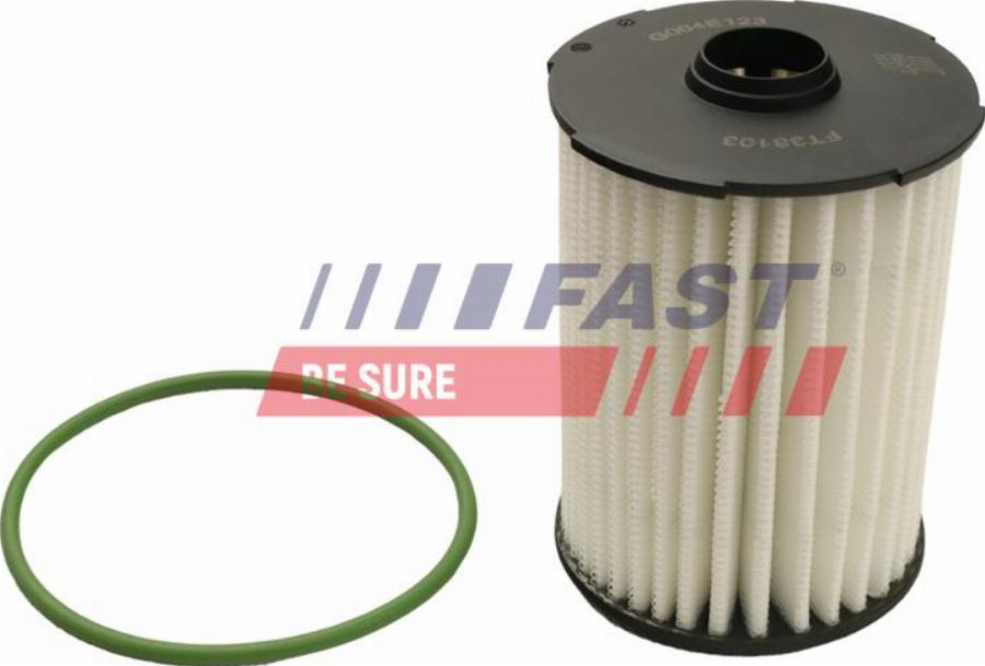 Fast FT38103 - Filtro olio www.autoricambi360.it
