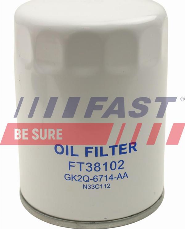 Fast FT38102 - Filtro olio www.autoricambi360.it
