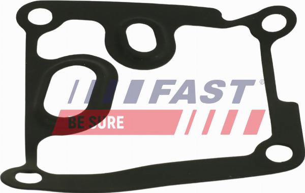 Fast FT38801 - Guarnizione, Radiatore olio www.autoricambi360.it