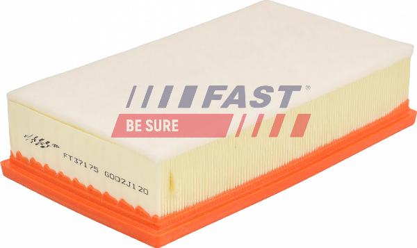 Fast FT37175 - Filtro aria www.autoricambi360.it