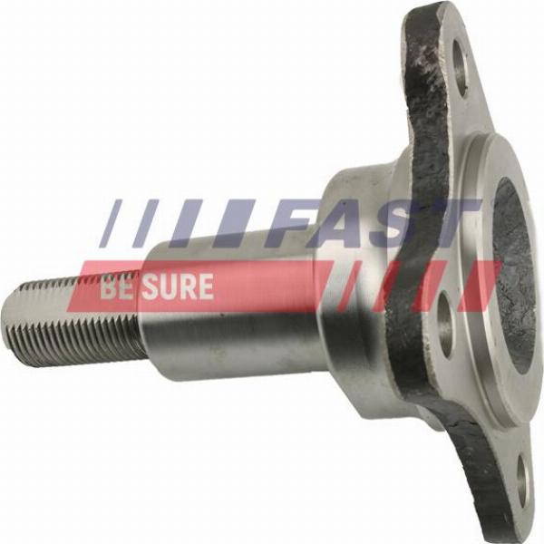 Fast FT23200 - Fusello, Corpo assiale www.autoricambi360.it