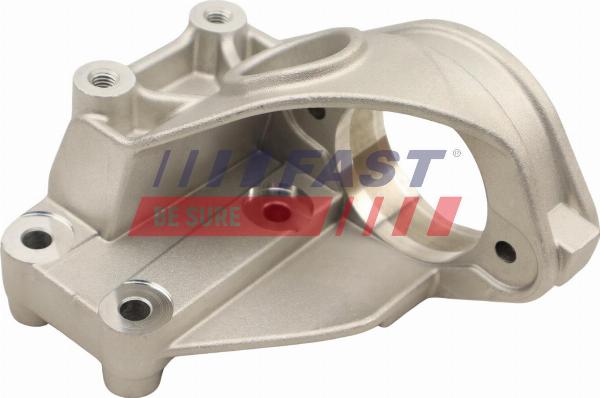 Fast FT27302 - Cuscinetto intermedio, Albero primario www.autoricambi360.it