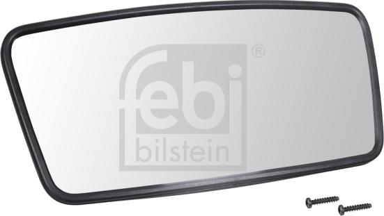 FEBI Bilstein 49994 - Specchio esterno, Cabina www.autoricambi360.it