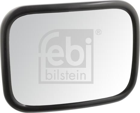 FEBI Bilstein 49995 - Specchio con grandangolo www.autoricambi360.it