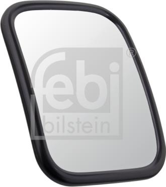 FEBI Bilstein 49996 - Specchio con grandangolo www.autoricambi360.it