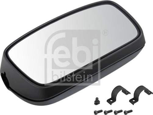 FEBI Bilstein 49963 - Specchio esterno, Cabina www.autoricambi360.it
