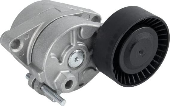 FEBI Bilstein 09810 - Tendicinghia, Cinghia Poly-V www.autoricambi360.it