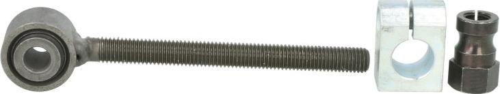 FEBI Bilstein 08758 - Tendicinghia, Cinghia Poly-V www.autoricambi360.it