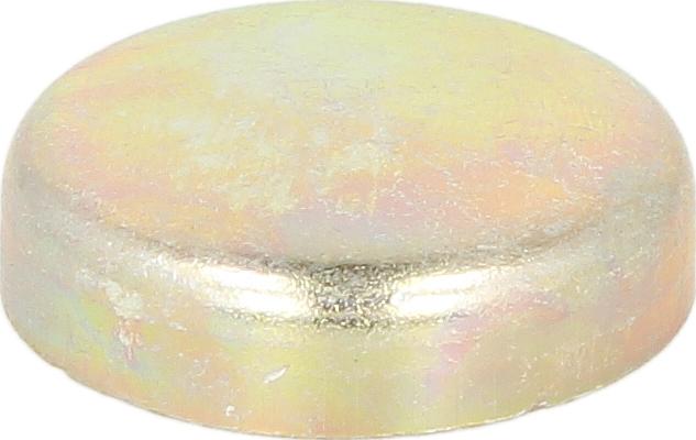 Febi Bilstein 07294 - Tappo anticongelamento monoblocco www.autoricambi360.it