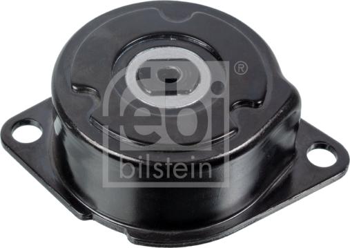 FEBI Bilstein 14736 - Tendicinghia, Cinghia Poly-V www.autoricambi360.it