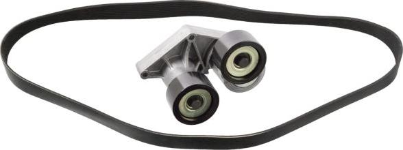 FEBI Bilstein 106001 - Kit Cinghie Poly-V www.autoricambi360.it