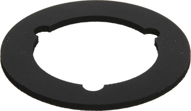 FEBI Bilstein 100690 - Guarnizione, chiusura bocchettone di riempimento olio www.autoricambi360.it