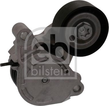 FEBI Bilstein 100169 - Tendicinghia, Cinghia Poly-V www.autoricambi360.it