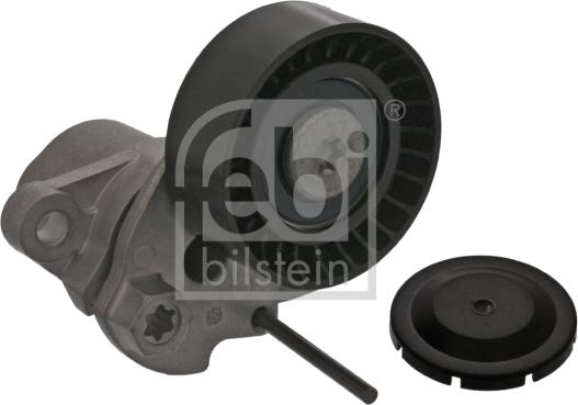 Febi Bilstein 100740 - Tendicinghia, Cinghia Poly-V www.autoricambi360.it