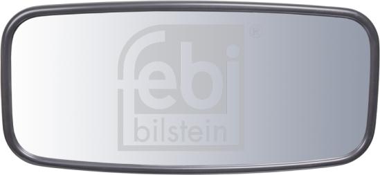 FEBI Bilstein 101389 - Specchio esterno, Cabina www.autoricambi360.it