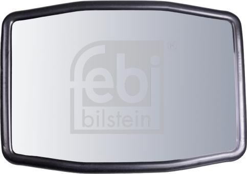 FEBI Bilstein 101387 - Specchio esterno, Cabina www.autoricambi360.it