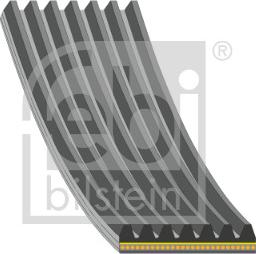 FEBI Bilstein 184952 - Cinghia Poly-V www.autoricambi360.it
