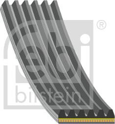 FEBI Bilstein 184917 - Cinghia Poly-V www.autoricambi360.it