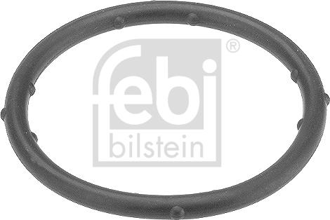Febi Bilstein 18766 - Guarnizione, Flangia refrigerante www.autoricambi360.it