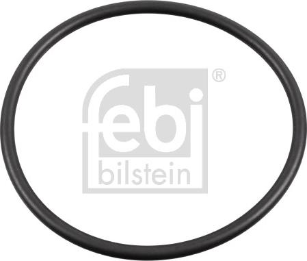 FEBI Bilstein 179379 - Paraolio, Cuscinetto ruota www.autoricambi360.it