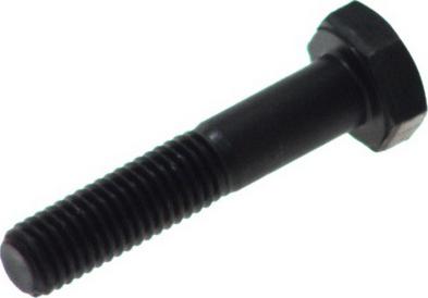 FEBI Bilstein 17532 - Vite di fermo, Snodo portante / di guida www.autoricambi360.it