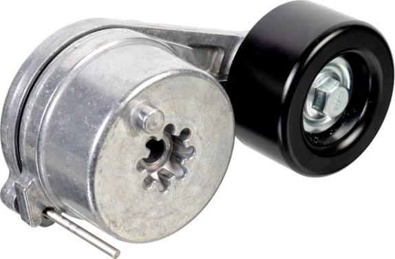 FEBI Bilstein 176008 - Tendicinghia, Cinghia Poly-V www.autoricambi360.it