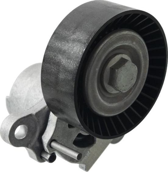 FEBI Bilstein 170256 - Tendicinghia, Cinghia Poly-V www.autoricambi360.it