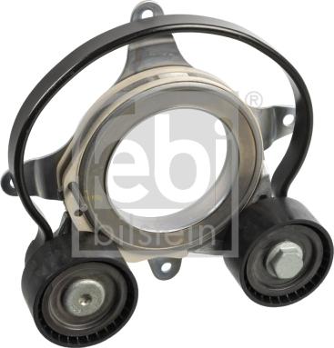 FEBI Bilstein 170250 - Tendicinghia, Cinghia Poly-V www.autoricambi360.it