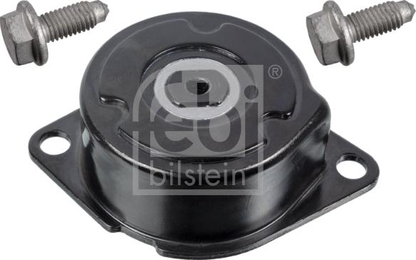 FEBI Bilstein 171878 - Tendicinghia, Cinghia Poly-V www.autoricambi360.it