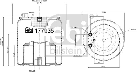FEBI Bilstein 177935 - Soffietto, Sospensione pneumatica www.autoricambi360.it