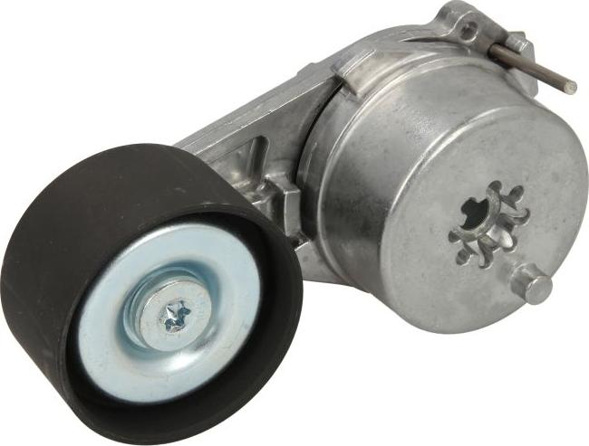 FEBI Bilstein 177687 - Tendicinghia, Cinghia Poly-V www.autoricambi360.it