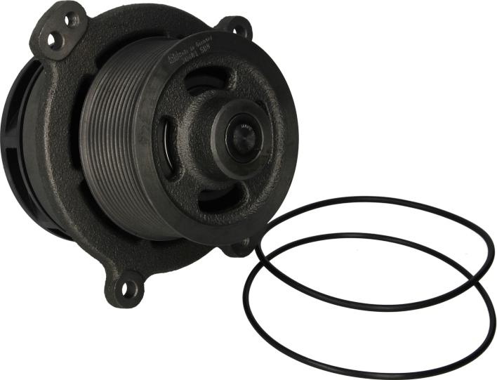 FEBI Bilstein 30681 - Pompa acqua www.autoricambi360.it
