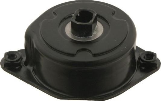 FEBI Bilstein 30117 - Tendicinghia, Cinghia Poly-V www.autoricambi360.it