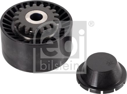 Febi Bilstein 30248 - Galoppino / Guidacinghia, Cinghia Poly-V www.autoricambi360.it