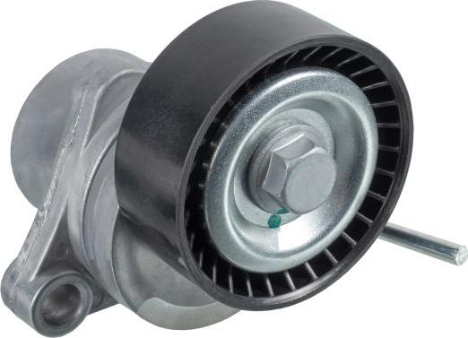 FEBI Bilstein 31076 - Tendicinghia, Cinghia Poly-V www.autoricambi360.it