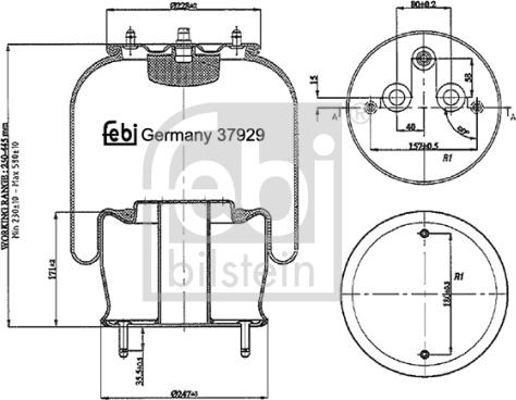 FEBI Bilstein 37929 - Soffietto, Sospensione pneumatica www.autoricambi360.it