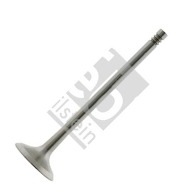 FEBI Bilstein 24161 - Valvola di scarico www.autoricambi360.it