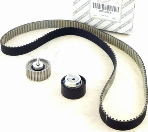 FCA 71736716 - Kit cinghie dentate www.autoricambi360.it
