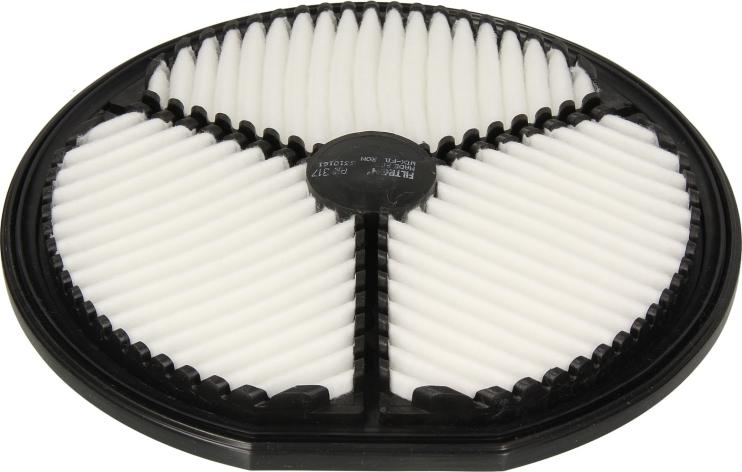 Filtron AK317 - Filtro aria www.autoricambi360.it