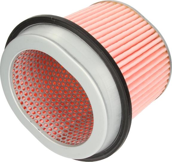 Filtron AM433 - Filtro aria www.autoricambi360.it