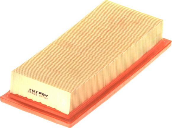 Filtron AP095 - Filtro aria www.autoricambi360.it