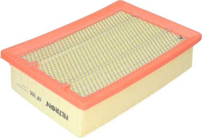 Filtron AP091 - Filtro aria www.autoricambi360.it