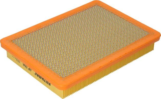 Filtron AP098 - Filtro aria www.autoricambi360.it