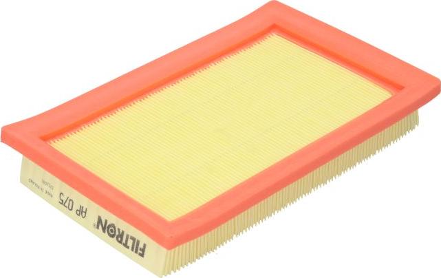 Filtron AP075 - Filtro aria www.autoricambi360.it