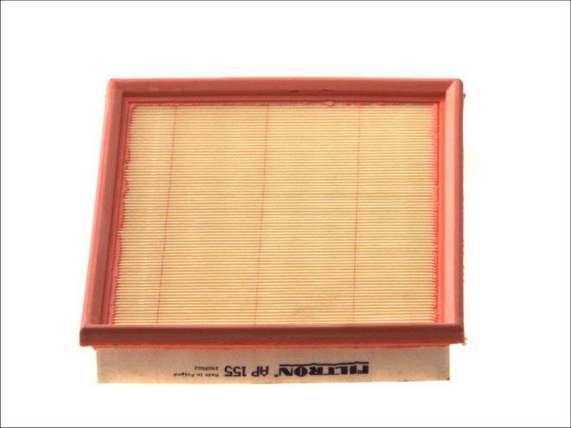 Filtron AP155 - Filtro aria www.autoricambi360.it