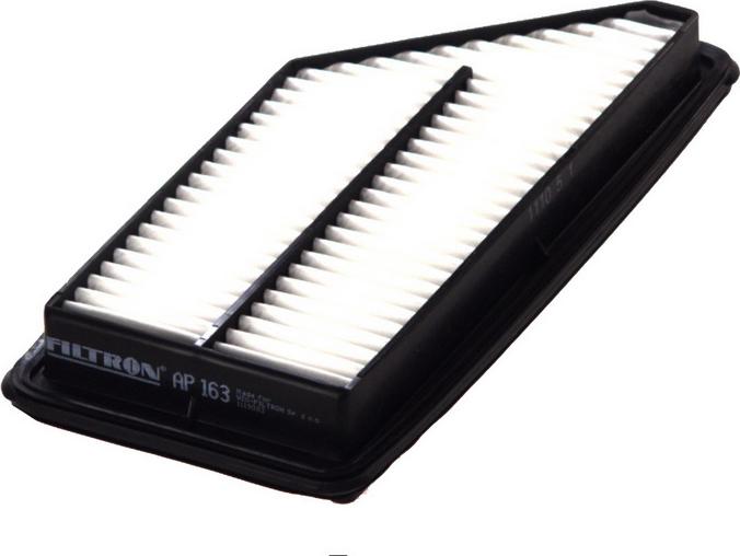 Filtron AP163 - Filtro aria www.autoricambi360.it
