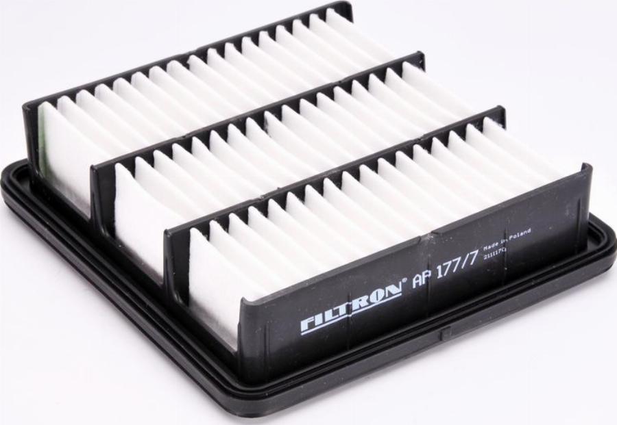 Filtron AP177/7 - Filtro aria www.autoricambi360.it